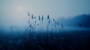 Колокольчики