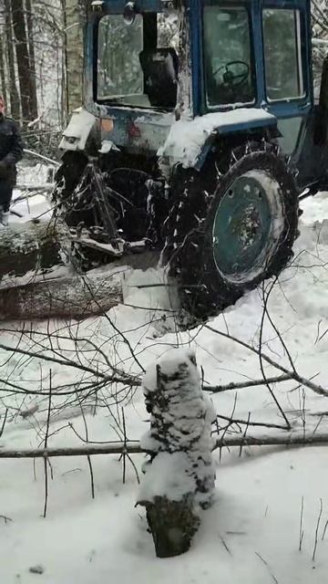 МТЗ-82 В ЛЕСУ.mp4 смотреть онлайн