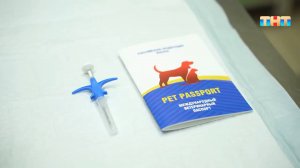 Чипирование животных может стать необходимой процедурой