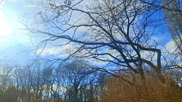 Ессентуки Курортный парк 01.02.26 смотреть онлайн