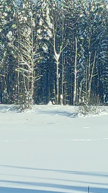 2 Февраля 2026 смотреть онлайн