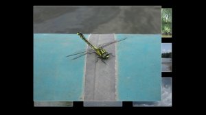 Раскрывая горизонты. Сплав по Мокше (2011 г)