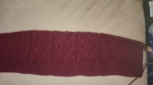 триостарты 2026г, февраль, 1старт. 
КАРДИГАН.