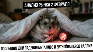 Анализ рынка 2 февраля. Металлы и биткойн почти допадали? Нефть и газ несутся вниз! IRUS развалится?