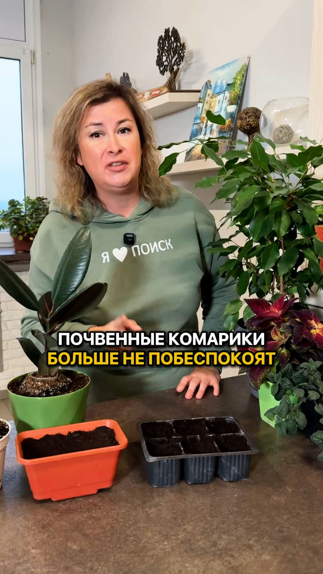 Почвенных комариков БОЛЬШЕ НЕ БУДЕТ!