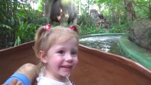 ВЛОГ： интересное путешествие по реке страха в парке ат