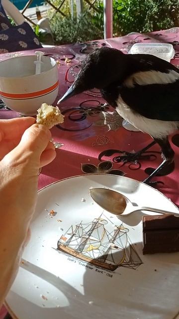 Ричи живёт свою лучшую жизнь,а я просто радуюсь быть частью этого утра.