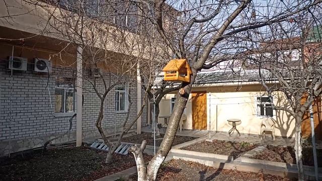 Геленджик 31 Декабря 2025 года смотреть онлайн