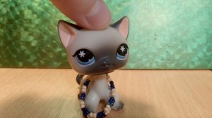 информация и разбор LPs