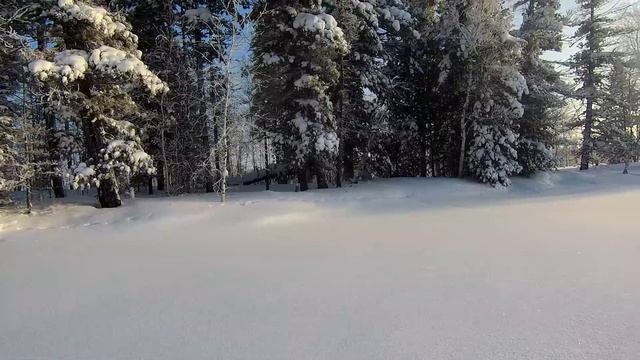 Рыбалка на озере 30.01.2026 смотреть онлайн