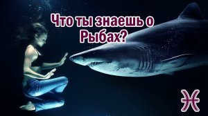 Общая характеристика знака зодиака Рыбы ♓️