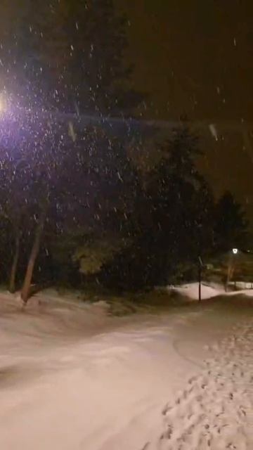 Снегопад в Белгороде, Пикник парк