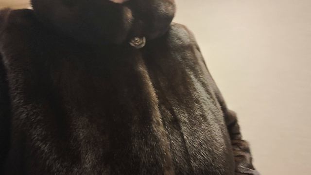 Жизнь в городе на пенсии. смотреть онлайн