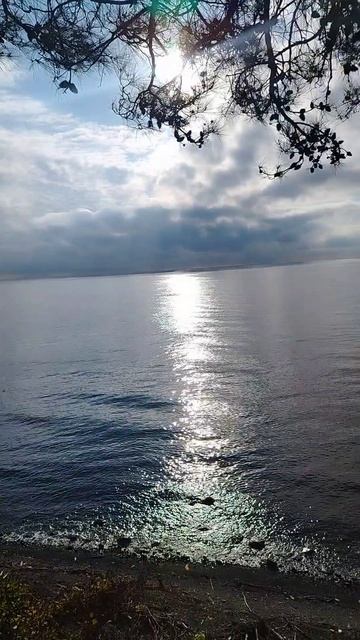 10.12.2025 по дороге в Лазаревское