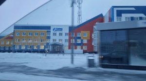 Поездка в Новый Уренгой/ Закупка мяса/ Природа севера