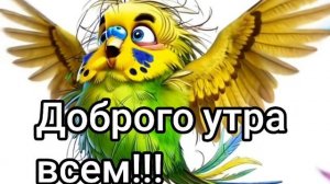 #доброеутро
