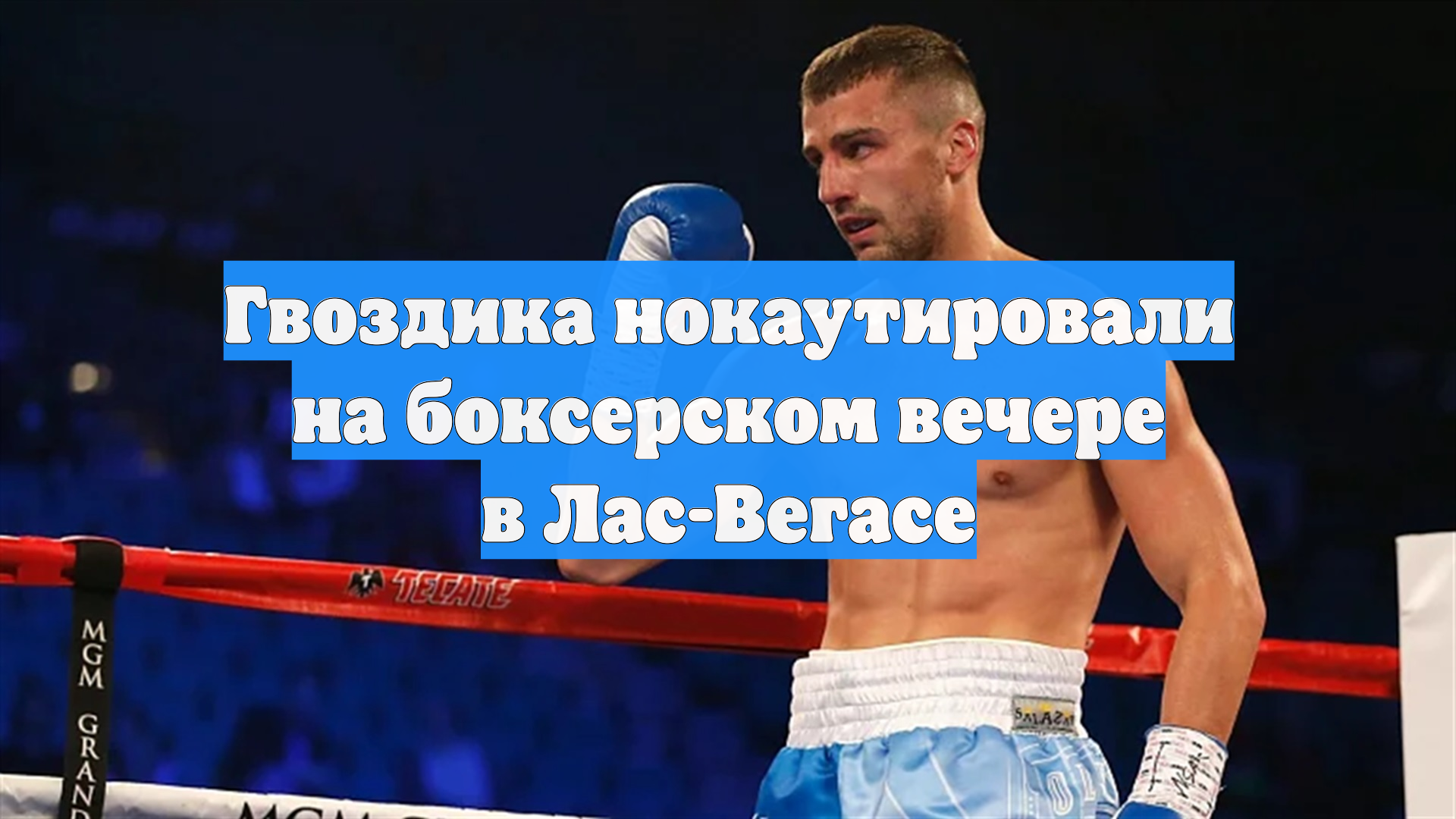 Экс‑чемпион мира по боксу Гвоздик проиграл нокаутом Калайджичу смотреть онлайн