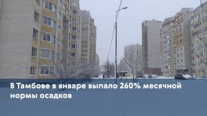 В Тамбове в январе выпало 260% месячной нормы осадков