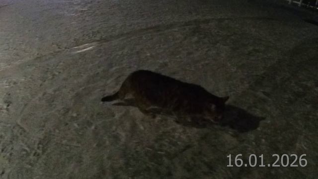 Зимние покатушки на электричках. Крым, г. Саки. Ottobock B500, Permobil F5