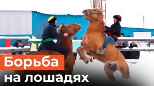 Как дерутся на лошадях? Уникальный турнир силачей прошел в Татарстане