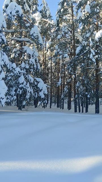 27 Января 2026 смотреть онлайн