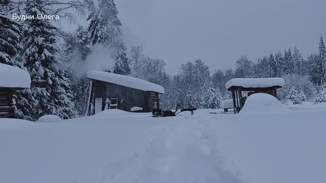 ПОХОД В ЛЕС. В ТАКОЙ СНЕГ ЛУЧШЕ ДОМА СИДЕТЬ. 18.01.26 смотреть онлайн