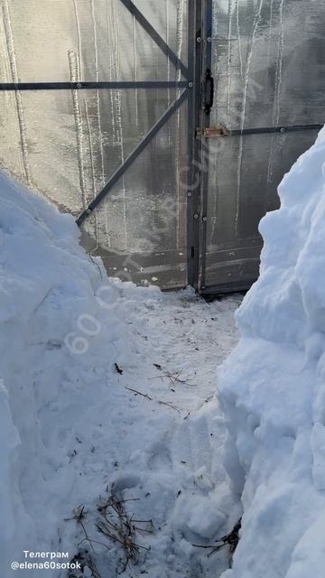 НЕ КИДАЙТЕ СНЕГ В ТЕПЛИЦУ - ЭТО БЕСПОЛЕЗНОЕ ЗАНЯТИЕ! смотреть онлайн