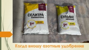 Азотные удобрения, виды и сроки применения на моем участке