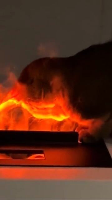 Слуга сатаны получает от хозяина распоряжения, как сеять в мире хаос и разруху смотреть онлайн