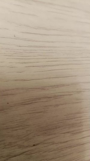 вторая часть по спикер мену