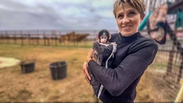 Я принесла Степашку Леокадии, мне не нравится его впалая грудь и хвост в синяках! смотреть онлайн