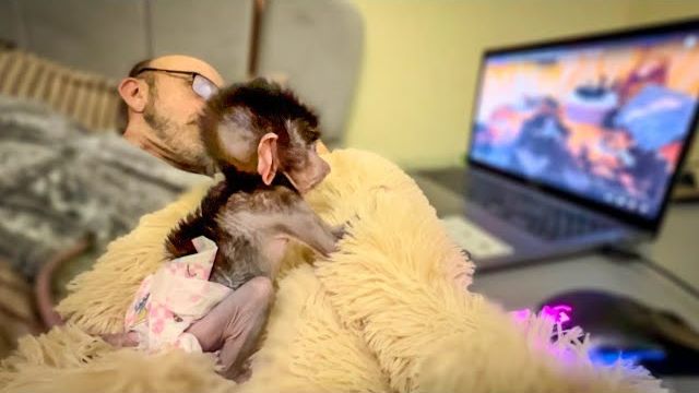 Степашка стал ВЕЛИКИМ АЙТИШНИКОМ, он может как включить компьютер, так его и ВЫРУБИТЬ)))