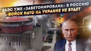 Отломить «кусочек» ЗАЭС никто не сможет! Россия выкинет любые армии ЕС с Украины!