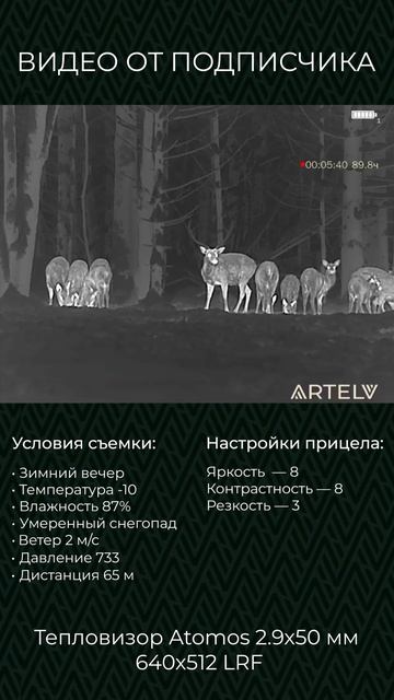 Как видит тепловизор ATOMOS 2.9x50 мм: видео от подписчика смотреть онлайн