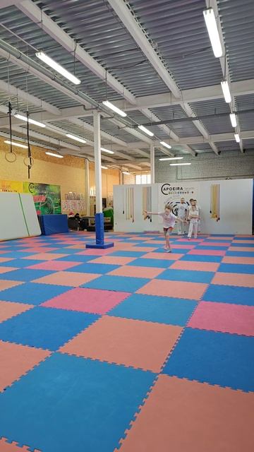 капоэйра, акробатика, тренировки .mp4 смотреть онлайн