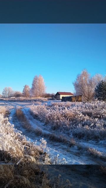 зимние кпужква зимние кпужква