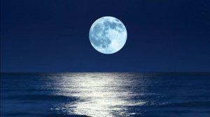 ГОРОСКОП НА НЕДЕЛЮ 2-8.02. ПОЛНОЛУНИЕ В ЗНАКЕ ЛЬВА♌