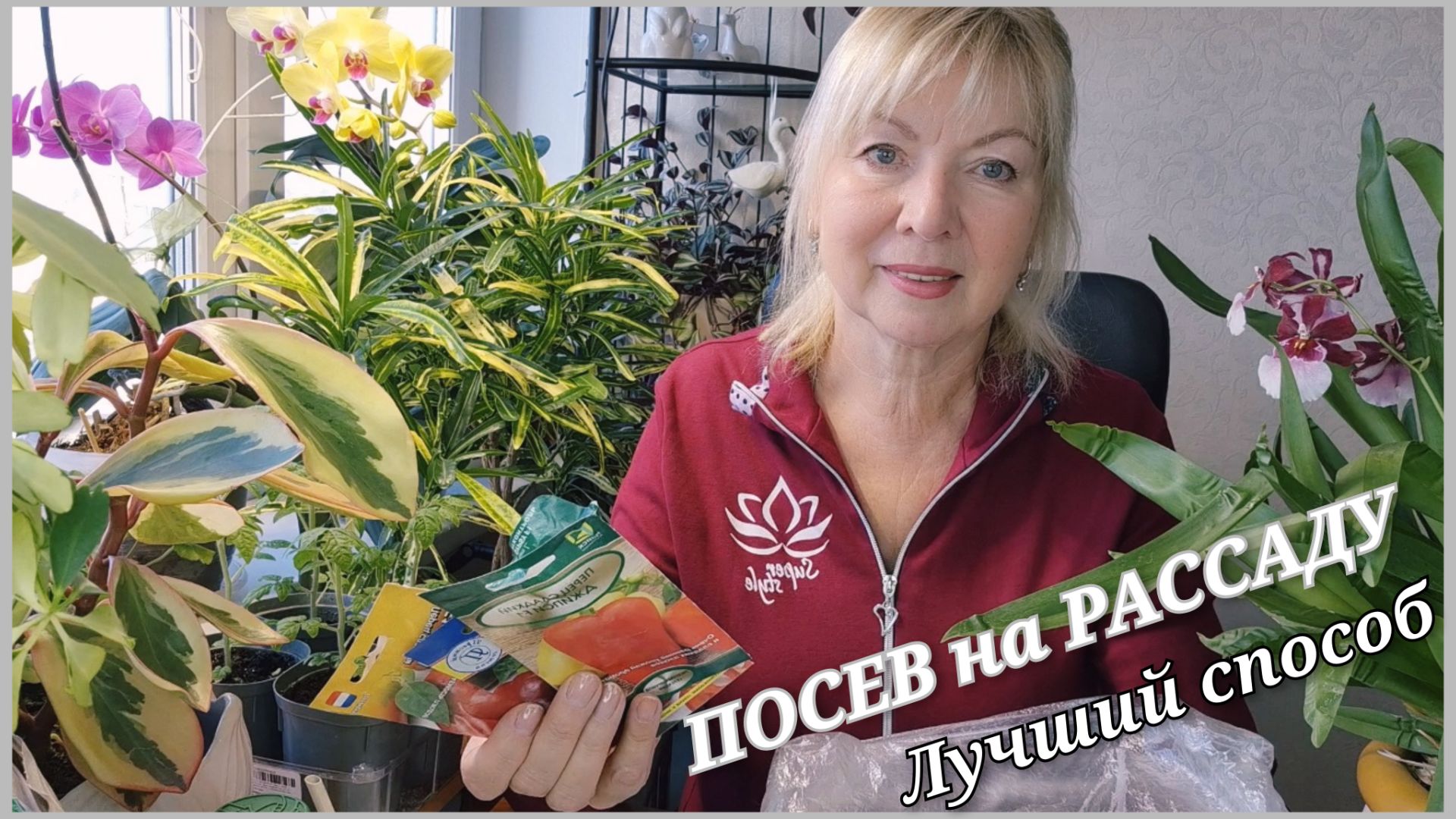 Сроки посева НА РАССАДУ Лучший способ проращивания Новые семена смотреть онлайн