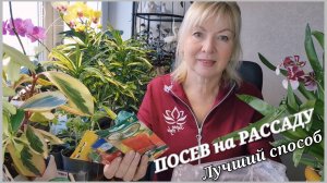 Сроки посева НА РАССАДУ Лучший способ проращивания Новые семена