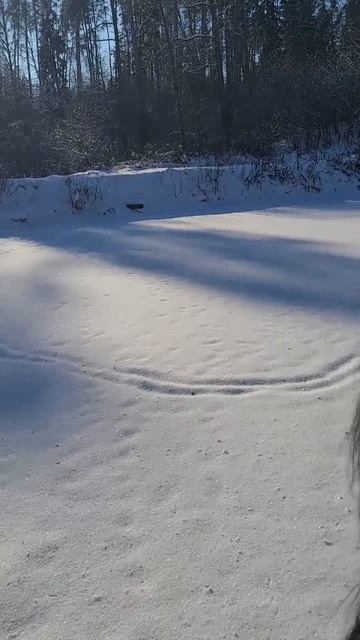 Переправляюсь по льду на лошади