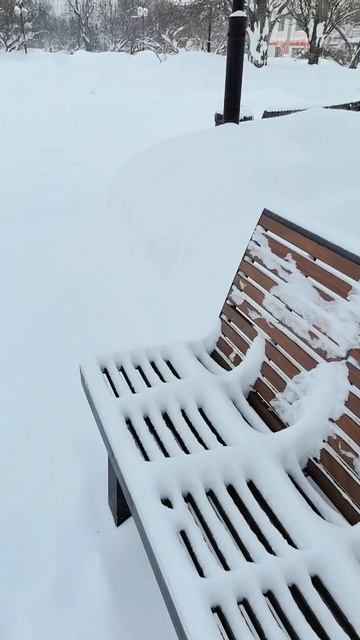 Утреннее настроение 81 / Morning mood 81 🌨️⛄🥶☀️