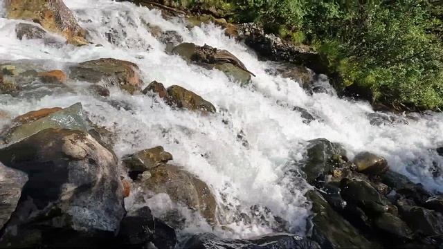 Эпизоды, Мгновения——ЛЕТО…..