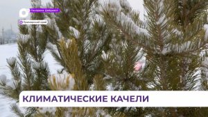 Оттепель в Приморье сменится возвращением зимних холодов