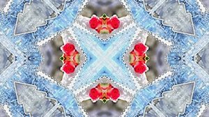 Розы в Зимнюю пору 4 от Киностудии Мудрого Кота Тимофея!