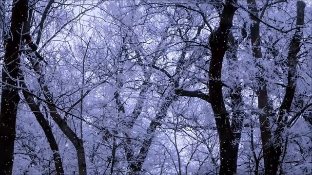 2 Февраля — Снежное полнолуние. Что нельзя делать в эту ночь_