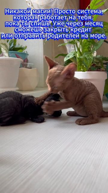 Заработок на автопилоте с минимальными временными затратами, моя честная история