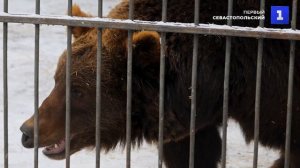 В Запорожской области выхаживают животных без хозяев