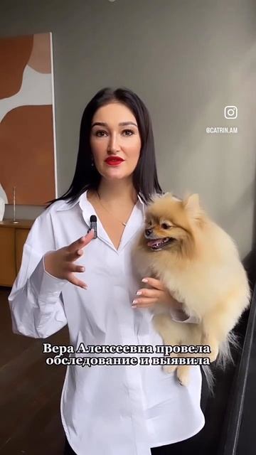 🧅☠ МОЖЕТ ЛИ ЛУК УБИТЬ ВАШЕГО ПИТОМЦА? УЗНАЙТЕ СЕЙЧАС!