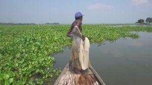 РЫБАЛКА СЕТЯМИ НА ФОНЕ ПРЕКРАСНОЙ ПРИРОДЫ