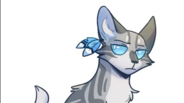 Подписчикам очень важно посмотреть!!!! смотреть онлайн